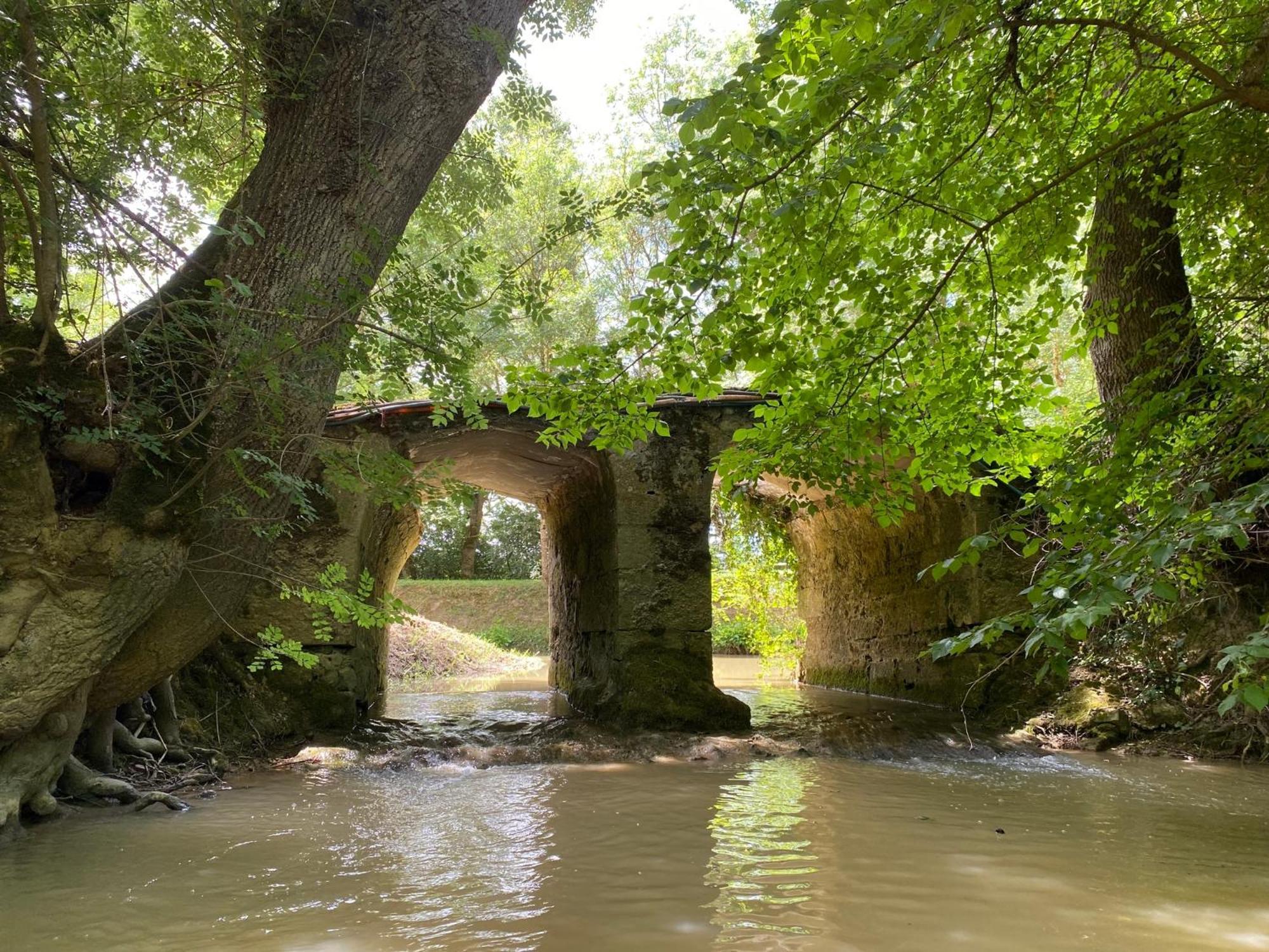 Gîte le Moulin Samsara Homps  Extérieur photo